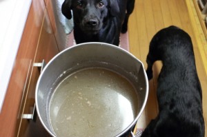 鹿スープと犬