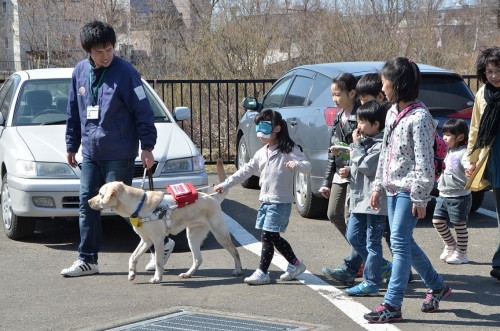 盲導犬協会のガイドドッグオープンデーに参加します