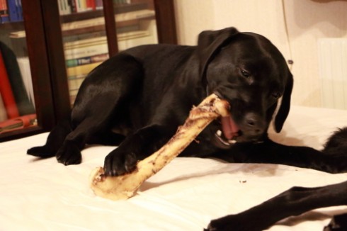 おやつを食べる風景