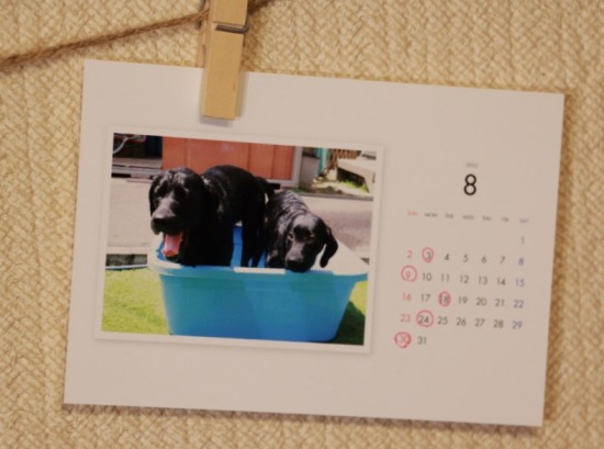 撮り貯めた写真を印刷するオススメ方法