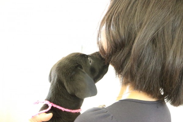 パピーウォーカー受託式