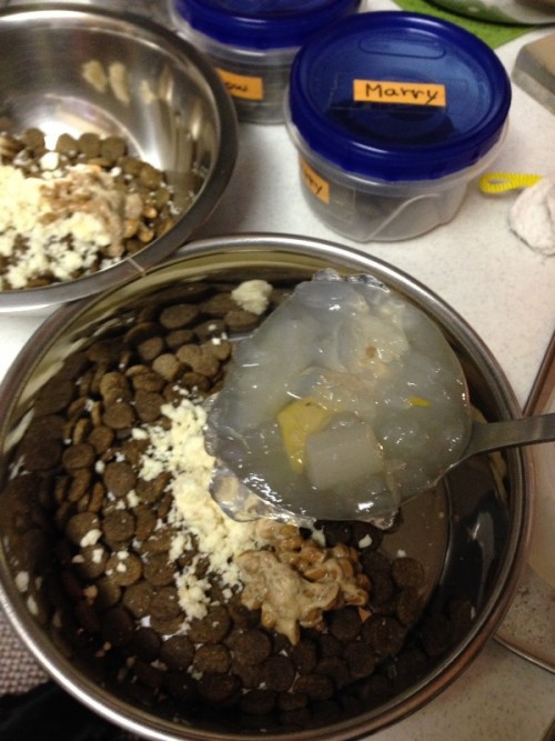 納豆と寒天追加