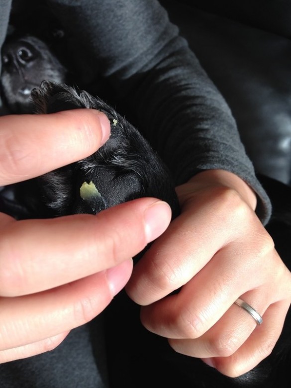 指でちょんとクリームを置いて