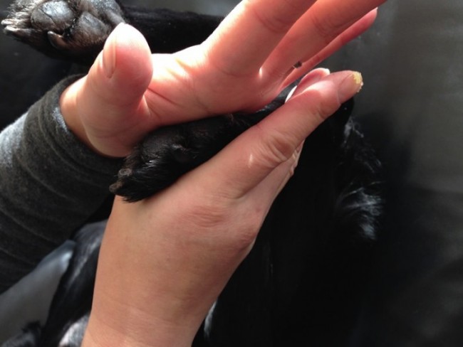 手のひらで塗り広げる