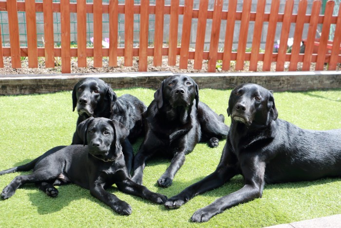 お待ちしております