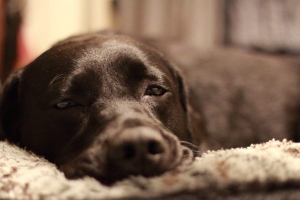 GUY北大病院へ行く