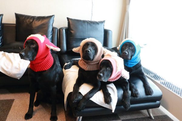 加藤商店のこと